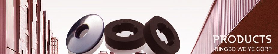Lifting Anchor,Lifting/Fixing Socket,Precast Anchor,Scaffolding Accessories ,Plastic Accessories 